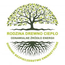 Logo eco drewno gold